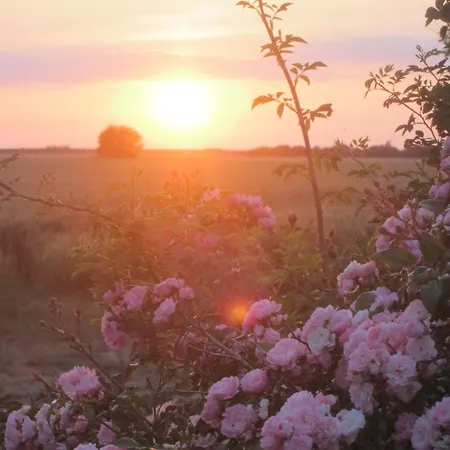 Prázdninový dům Wellnesshaus 